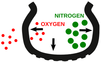 Nitrogen in the tire